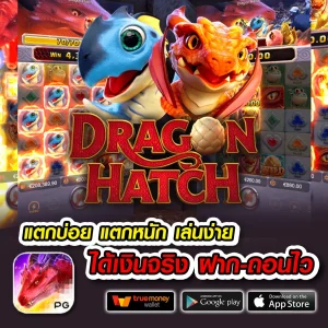 gigawyn ทางเข้า